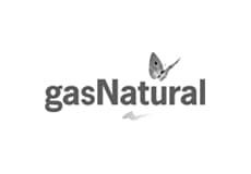 Gas Natural