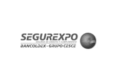 Segurexpo
